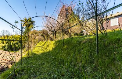 Historická vila na prodej Longone al Segrino, Lombardia, Foto 29/37