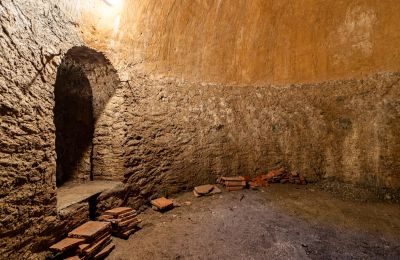 Historická vila na prodej Longone al Segrino, Lombardia, Foto 36/37