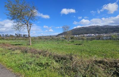 Zámeček na prodej 36740 Tomiño, Galicia, Foto 16/28