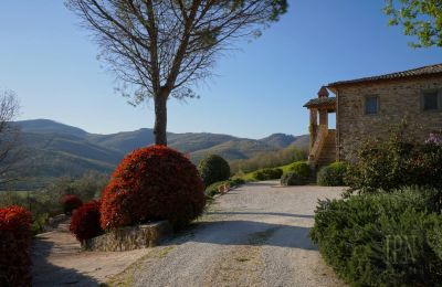 Venkovský dům na prodej 06019 Umbertide, Umbria, Foto 7/50