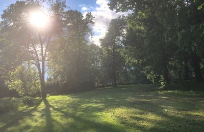 Zámek na prodej Rychnów, Opolské vojvodství, Foto 5/11