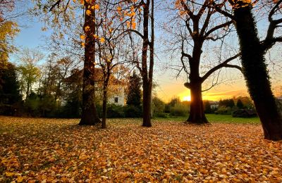Zámek na prodej Rychnów, Opolské vojvodství, Foto 6/11