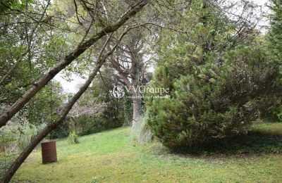 Historická vila na prodej Angoulême, Nouvelle-Aquitaine, Zahrada