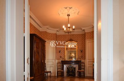 Historická vila na prodej Angoulême, Nouvelle-Aquitaine, Salón