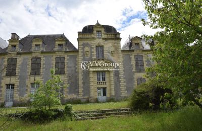 Zámek na prodej Thouars, Nouvelle-Aquitaine, Foto 14/14