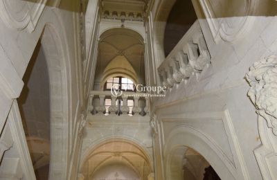 Zámek na prodej Thouars, Nouvelle-Aquitaine, Foto 4/14