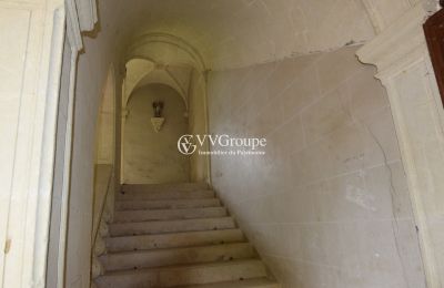 Zámek na prodej Thouars, Nouvelle-Aquitaine, Foto 5/14