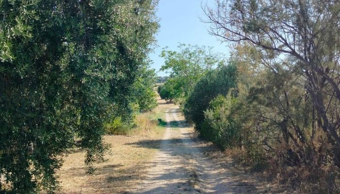 Historická nemovitost Offida, Marche