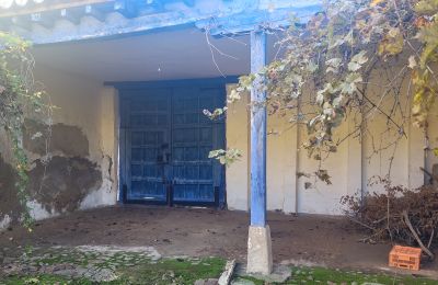 Městský palác na prodej Almagro, Castilla-La Mancha, Zahrada