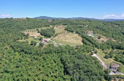 Venkovský dům na prodej 06060 Lisciano Niccone, Umbria, Foto 21/48