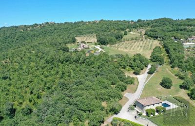 Venkovský dům na prodej 06060 Lisciano Niccone, Umbria, Foto 20/48