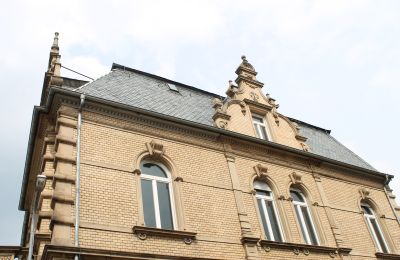 Historická vila na prodej Neustadt an der Weinstraße, Rheinland-Pfalz, RunBogenfenster mit auffälligen Verzierungen 