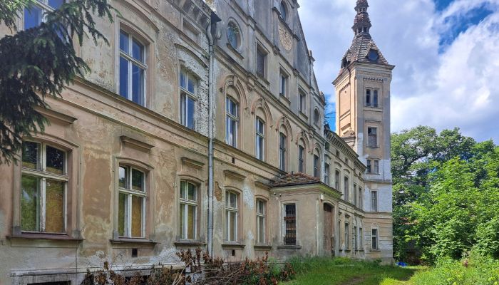 Zámek na prodej Jędrzychów, Dolní Slezsko,  Polsko