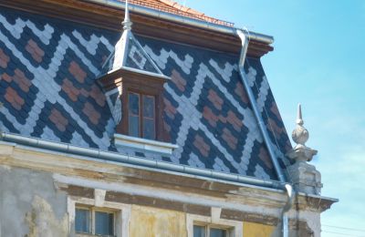 Zámek na prodej Tyńczyk Legnicki, Tyńczyk Legnicki  3, Dolní Slezsko,, Podrobnosti