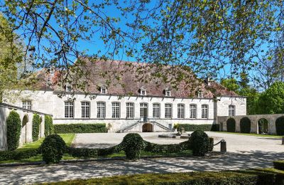 Zámeček na prodej Chaumont, Grand-Est, Zahrada