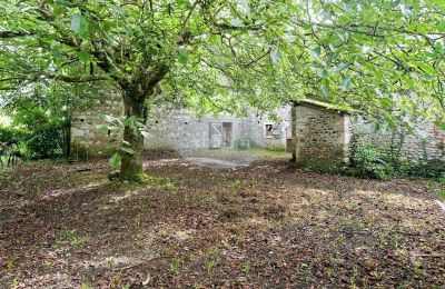 Historická nemovitost na prodej Nay, Nouvelle-Aquitaine, Zahrada
