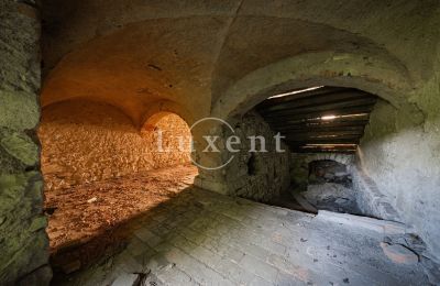 Zámek na prodej Vršovice, Zámek Vršovice, okres Louny, Foto 12/35