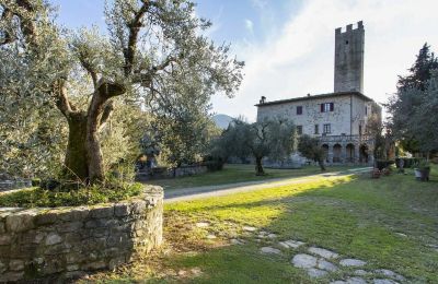 Hrad na prodej Croci di Calenzano, Toscana, Zahrada