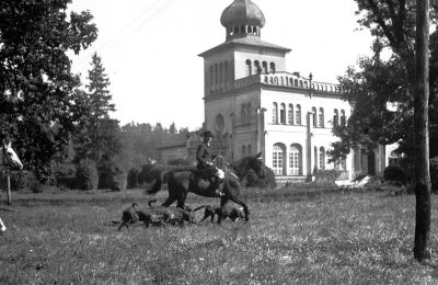 Zámek na prodej Osiek, Pałac w Osieku, Malopolské vojvodství, Historický pohled