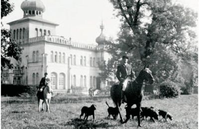 Zámek na prodej Osiek, Pałac w Osieku, Malopolské vojvodství, Historický pohled
