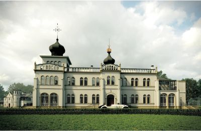 Zámek na prodej Osiek, Pałac w Osieku, Malopolské vojvodství, Vizualizace