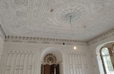 Zámek na prodej Osiek, Pałac w Osieku, Malopolské vojvodství, Foto 10/38