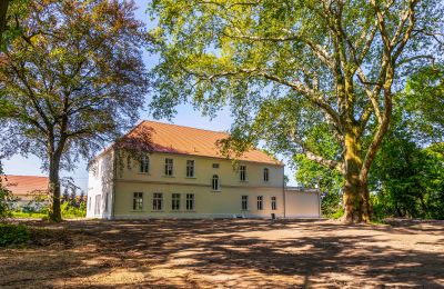 Zámek na prodej Środa Śląska, Pałac w Wojczycach, Dolní Slezsko, Foto 4/23