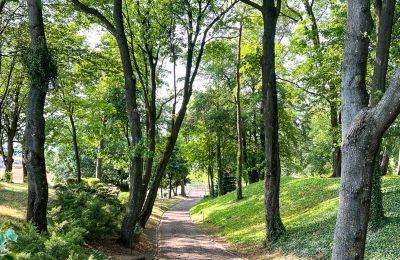 Zámeček na prodej Kujavsko-pomořanské, Park