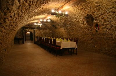 Zámeček na prodej Koplotovce,  kaštieľ, Trnavský kraj, Pivnica