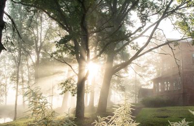 Zámeček na prodej Virķēni, Virķēnu muiža, Vidzeme, Foto 22/22