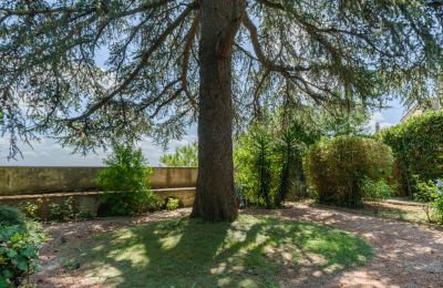 Historická vila na prodej Montecalvoli, Toscana, Foto 35/44