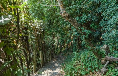 Historická vila na prodej Montecalvoli, Toscana, Foto 39/44