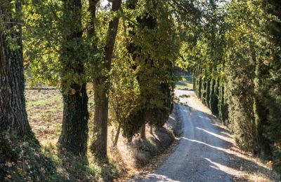 Historická vila na prodej Torrenieri, Toscana, Přístup