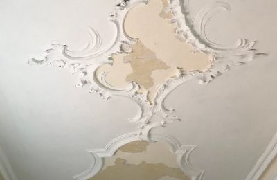 Zámek na prodej Baden-Württemberg, Foto 17/26