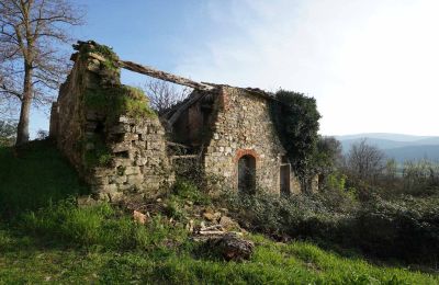 Venkovský dům na prodej Perugia, Umbria, Foto 12/15