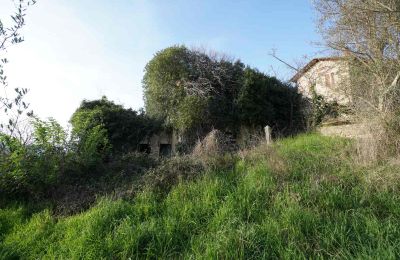 Venkovský dům na prodej Perugia, Umbria, Foto 13/15