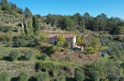 Venkovský dům na prodej 06010 Monte Santa Maria Tiberina, Umbria, Foto 4/28