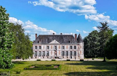 Historické nemovitosti, Zámek v Louis XIII stylu s věžemi, parkem a kanálem u Sens (Burgundsko)