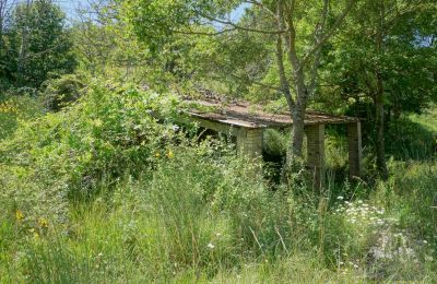 Venkovský dům na prodej Perugia, Umbria, Foto 13/23