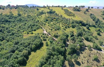 Venkovský dům na prodej Perugia, Umbria, Foto 6/23