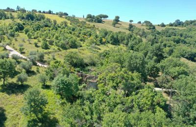 Venkovský dům na prodej Perugia, Umbria, Foto 8/23