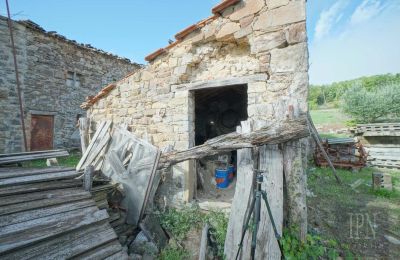 Historická vila na prodej Monterchi, Toscana, Foto 14/24