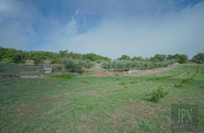 Historická vila na prodej Monterchi, Toscana, Foto 23/24