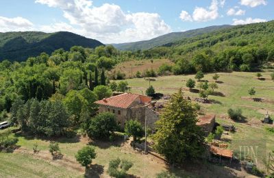 Historická vila na prodej Monterchi, Toscana, Foto 3/24