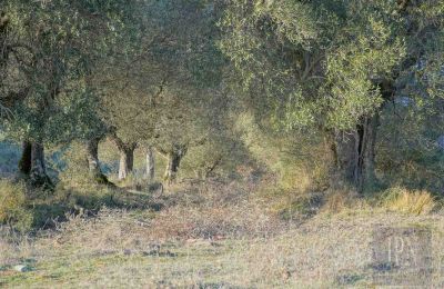 Venkovský dům na prodej 06073 Corciano, Umbria, Foto 32/42