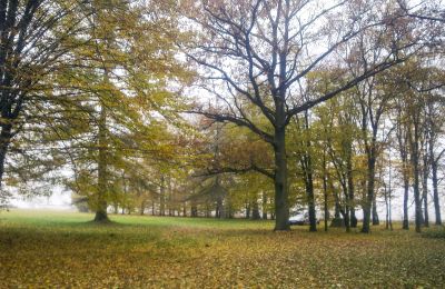 Historický park na prodej Skorki, Mazovia,, Pozemek