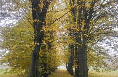 Historický park na prodej Skorki, Mazovia,, Foto 4/6
