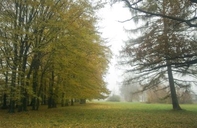 Historický park na prodej Skorki, Mazovia,, Park