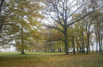 Historický park na prodej Skorki, Mazovia,, Foto 5/6