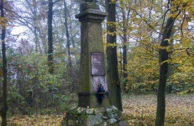 Historický park na prodej Skorki, Mazovia,, Foto 6/6